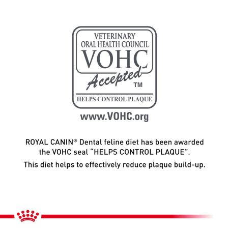 Royal Canin Dental Dry Food for Cats #4