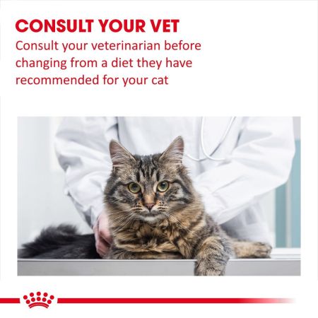 Royal Canin Calm Dry Food for Cats #3
