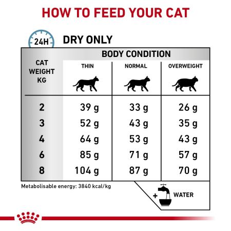 Royal Canin Skin & Coat Dry Food for Cats #5
