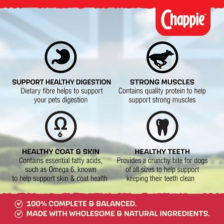 Chappie Complete Adult Dry Dog Food Beef & Wholegrain15kg #3