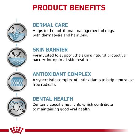 Royal Canin Skin Care Dry Food for Small Dogs #3
