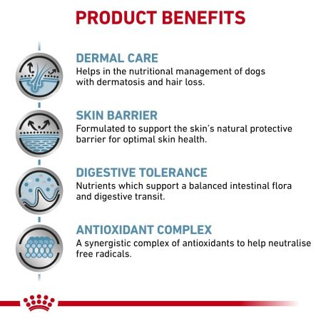Royal Canin Skin Care Dry Food for Dogs #3