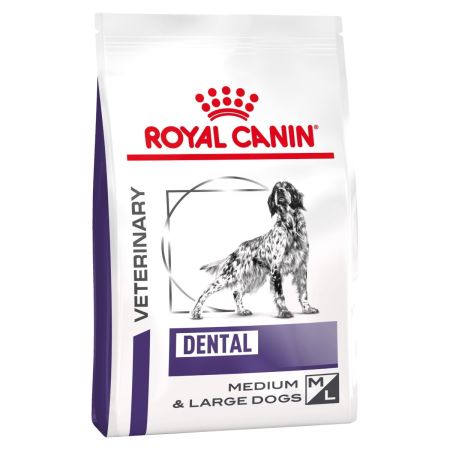 Royal Canin Dental Dry Food for Medium Large Dogs 6kg