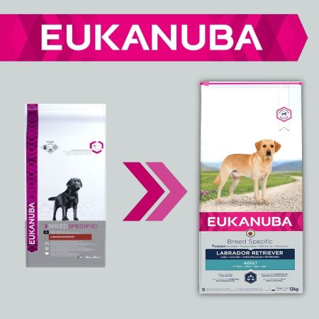 Eukanuba Breed Specific Labrador Retriever Adult Dry Dog Food 12kg #2