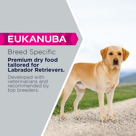 Eukanuba Breed Specific Labrador Retriever Adult Dry Dog Food 12kg #5