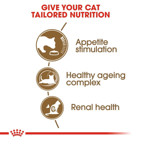 Royal Canin Ageing 12+ Senior Dry Cat Food #4