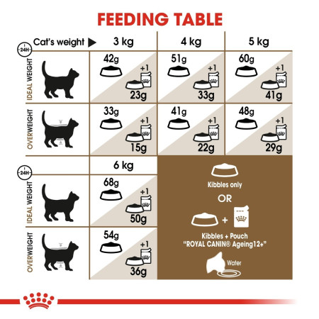 Royal Canin Ageing 12+ Senior Dry Cat Food #6
