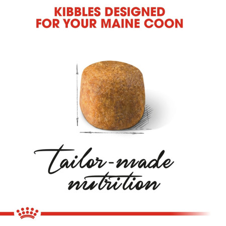 Royal Canin Maine Coon Adult Dry Cat Food #3