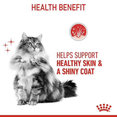 Royal Canin Hair & Skin Care Adult Dry Cat Food #5