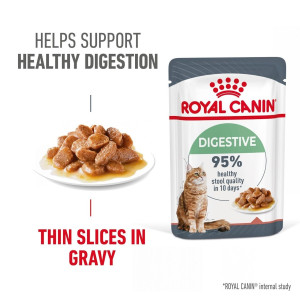 Royal Canin Digestive Care Adult Wet Cat Food in Gravy