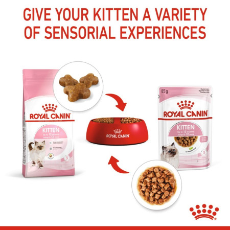 Royal Canin Kitten Wet Food Chunks in Gravy #5