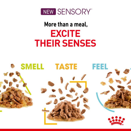 Royal Canin Sensory Adult Wet Cat Food in Gravy Variety Pack #5