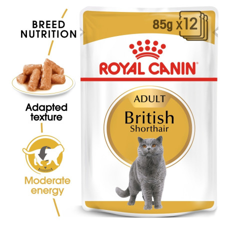 Royal Canin British Shorthair Adult Wet Cat Food in Gravy