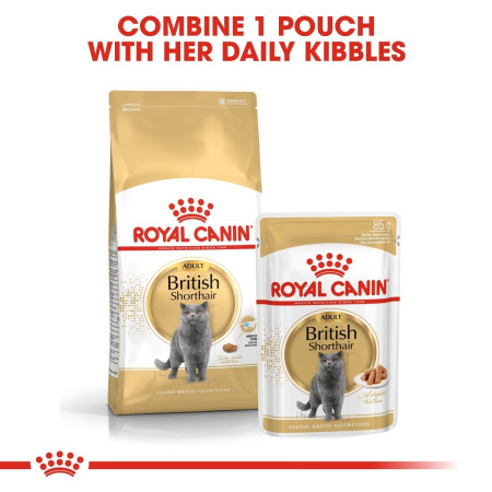 Royal Canin British Shorthair Adult Wet Cat Food in Gravy #2