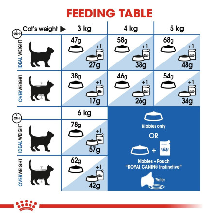 Royal Canin Home Life Indoor Appetite Control Adult Dry Cat Food #6