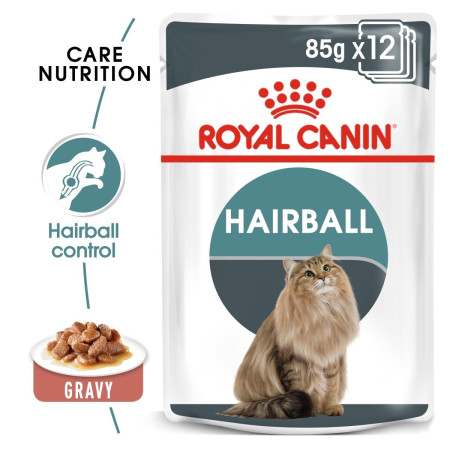 Royal Canin Hairball Care Adult Wet Cat Food in Gravy