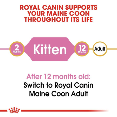 Royal Canin Maine Coon Kitten Dry Cat Food #5