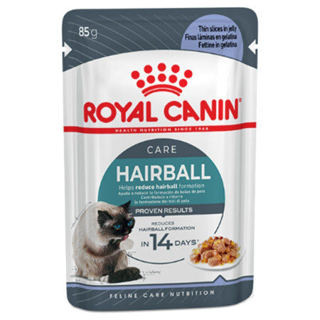 Royal Canin Hairball Care Adult Wet Cat Food in Jelly