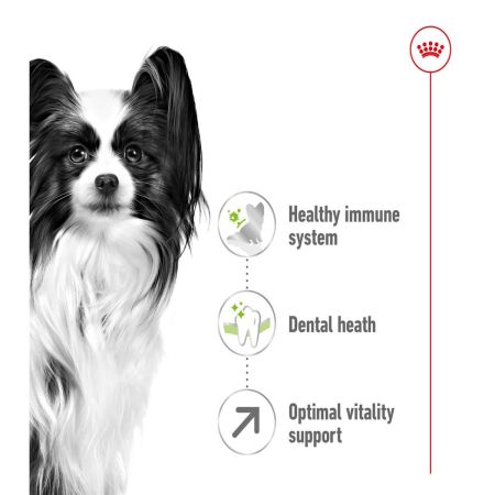Royal Canin X Small Adult 8+ Dry Dog Food #3