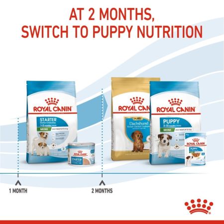 Royal Canin Mini Starter Mother & Babydog Adult Puppy Dry Food #7