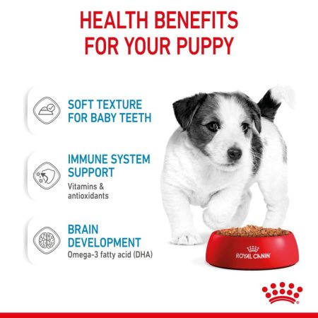 Royal Canin Mini Puppy Wet Food Chunks in Gravy #4