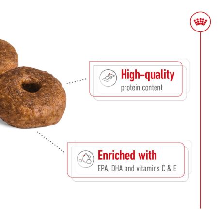 Royal Canin Medium Ageing 10+ Dry Dog Food #5