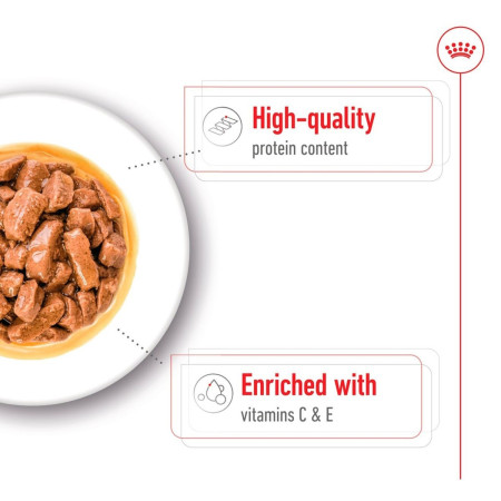 Royal Canin Medium Adult Wet Dog Food in Gravy #4