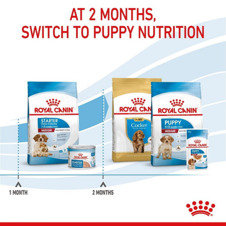 Royal Canin Medium Starter Mother & Babydog Adult Puppy Dry Food 15kg #7