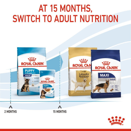 Royal Canin Maxi Puppy Dry Food #6