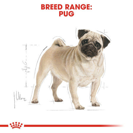 Royal Canin Pug Dry Adult Dog Food #5