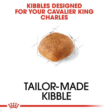 Royal Canin Cavalier King Charles Dry Adult Dog Food #2