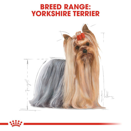 Royal Canin Yorkshire Terrier Dry Adult Dog Food #5