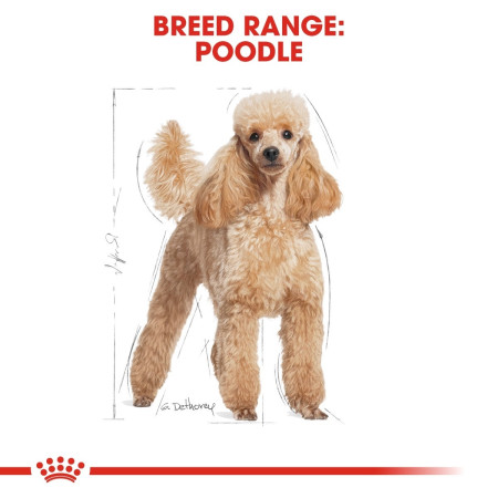 Royal Canin Poodle Dry Adult Dog Food #5