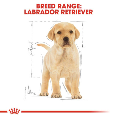 Royal Canin Labrador Retriever Puppy Dry Dog Food 12kg #7