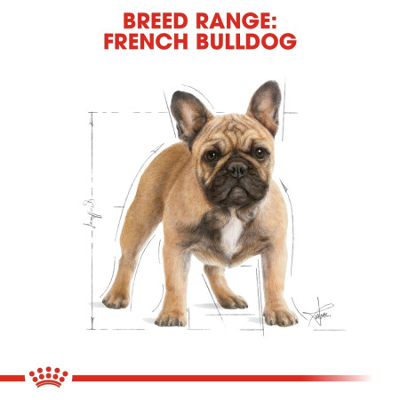 Royal Canin French Bulldog Dry Adult Dog Food 3kg #5