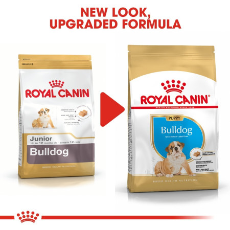 Royal Canin Bulldog Dry Puppy Food #2