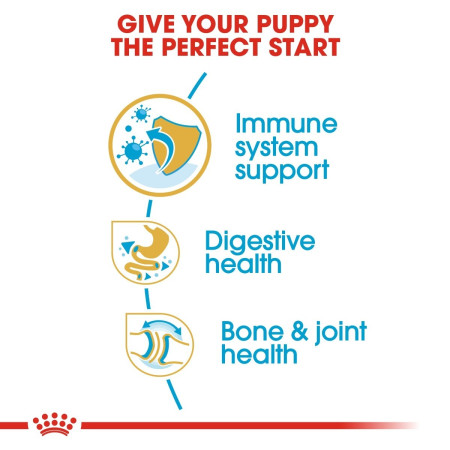 Royal Canin Bulldog Dry Puppy Food #3