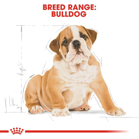 Royal Canin Bulldog Dry Puppy Food #5