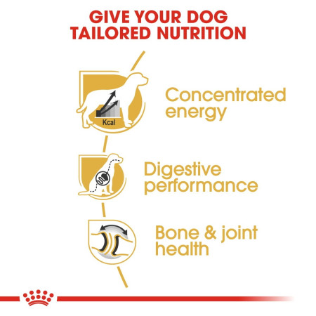 Royal Canin Great Dane Adult Dog Food 12kg #4