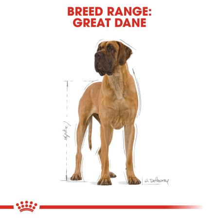 Royal Canin Great Dane Adult Dog Food 12kg #5