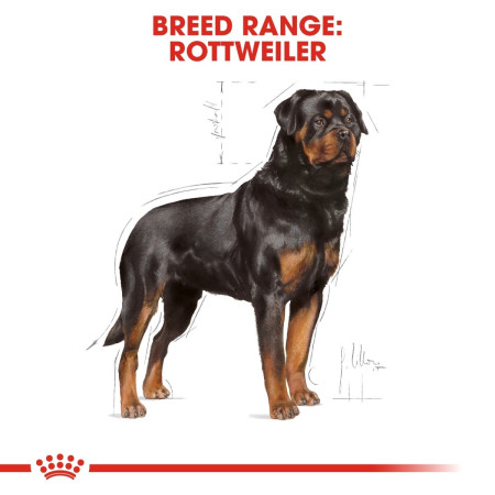 Royal Canin Rottweiler Dry Adult Dog Food 12kg #6